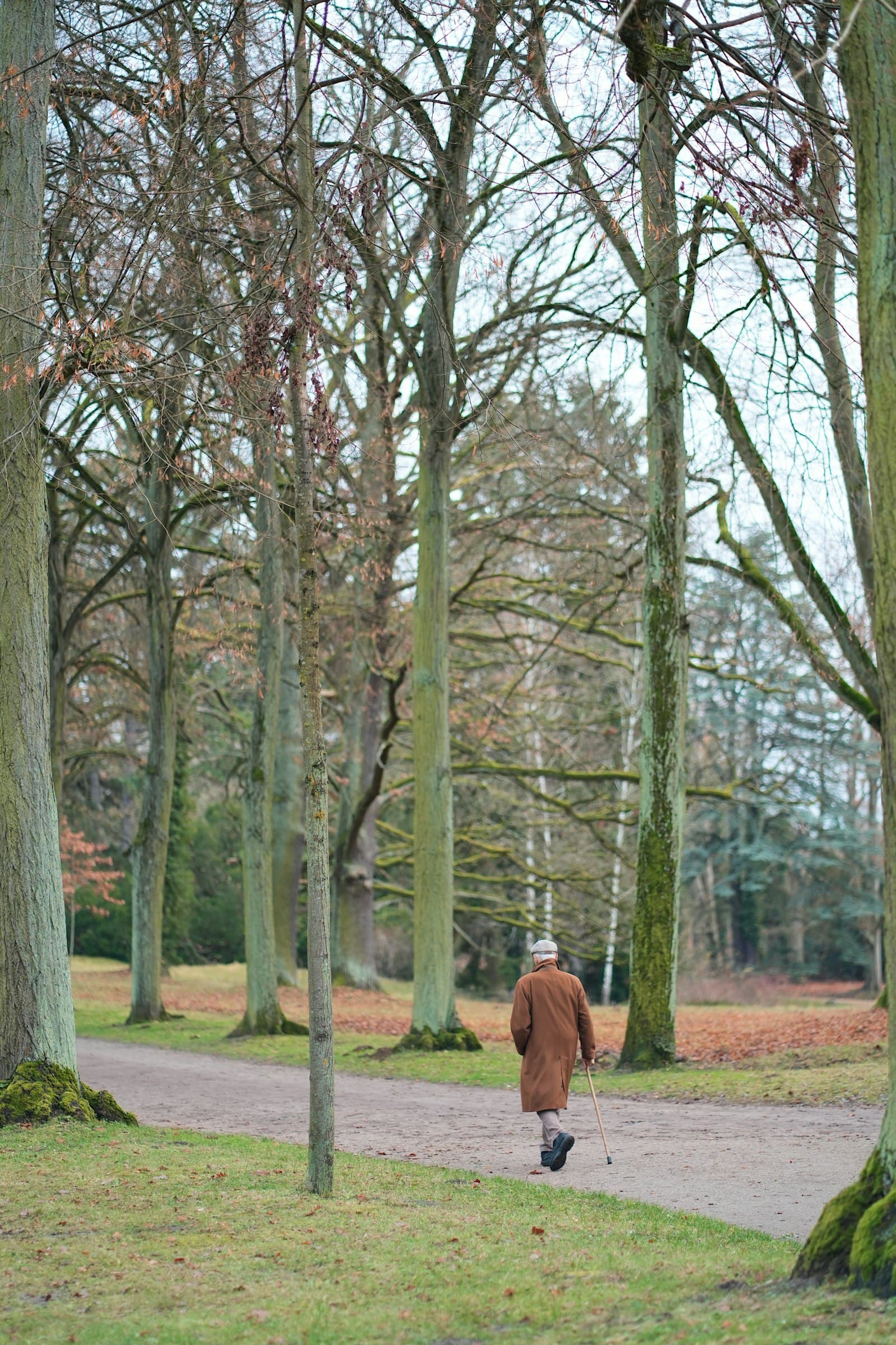 An older adult walking confidently with a cane along a wooded autumn path, conveying recovered mobility